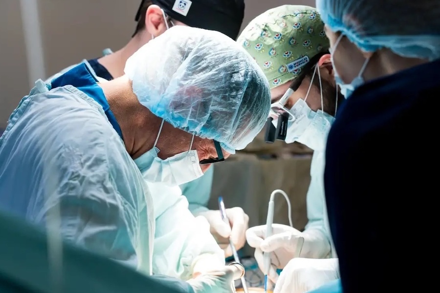 Why Medical Education in Russia Is Becoming Relevant for Students from Malaysia